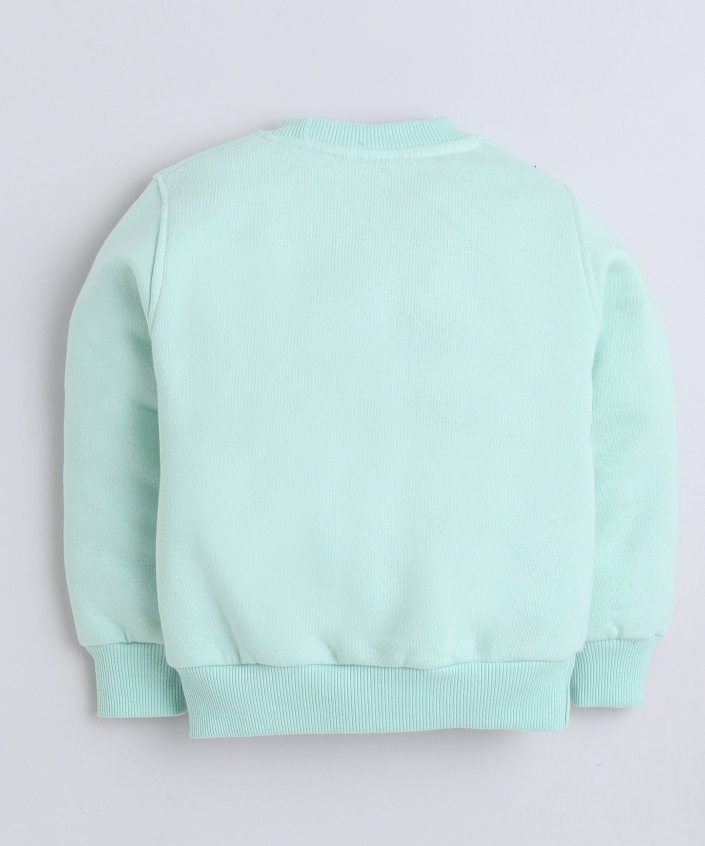 Love Sweatshirt with Fleece Lining- Sea Green