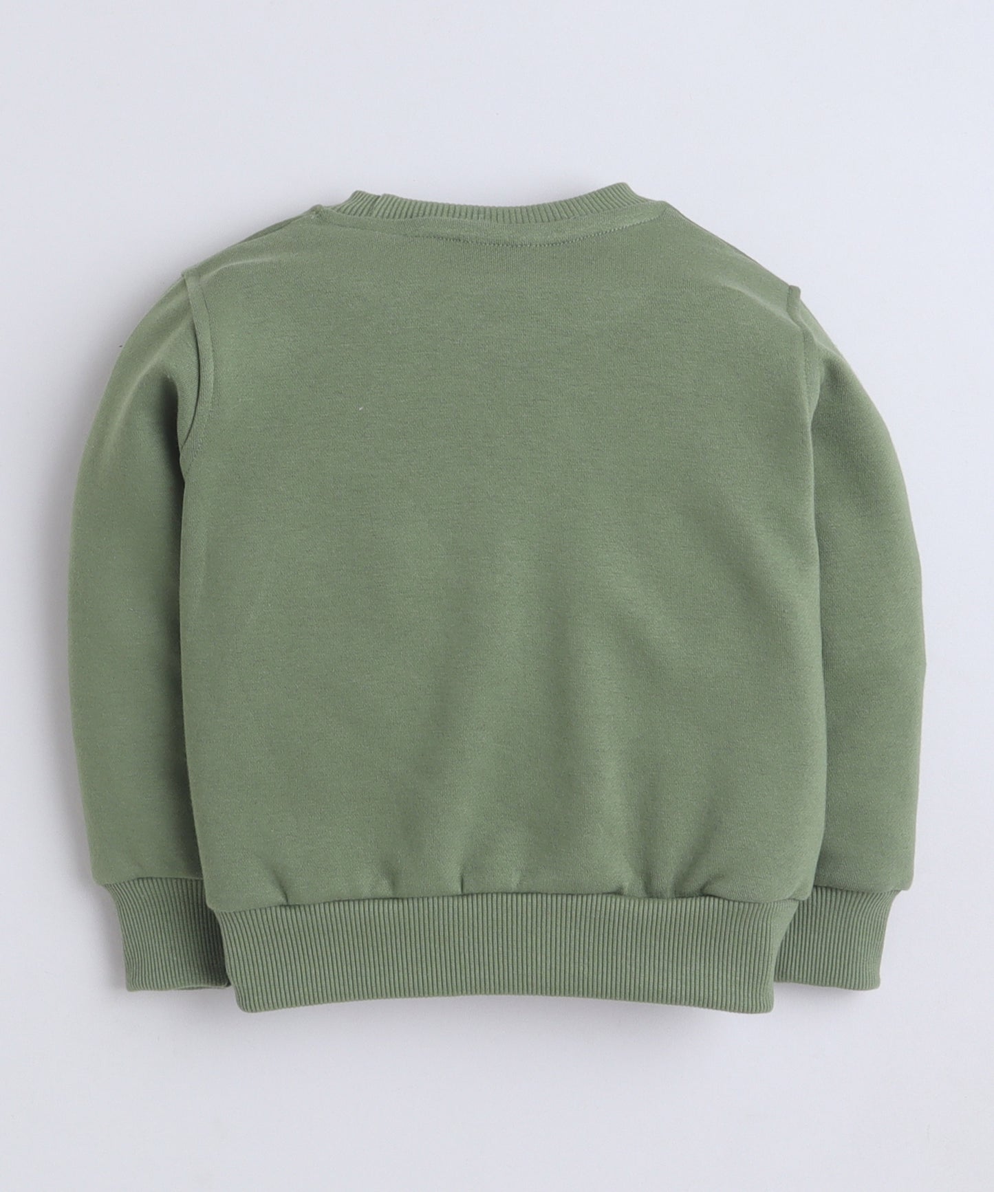 Hero Sweatshirt with Fleece Lining- Olive